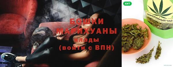 спайс Гусев