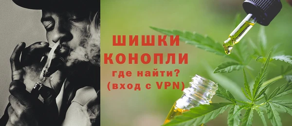 спайс Гусев