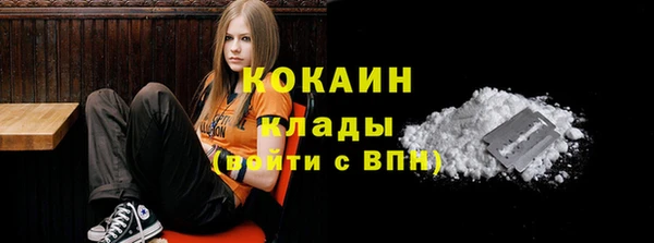 мдпв Гусь-Хрустальный