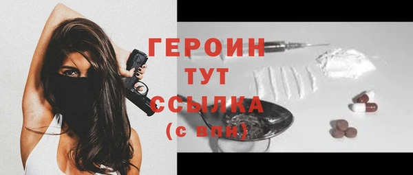 стаф Вязьма
