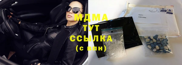 стаф Вязьма
