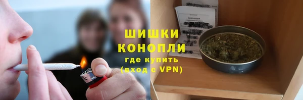 дурь Лабытнанги