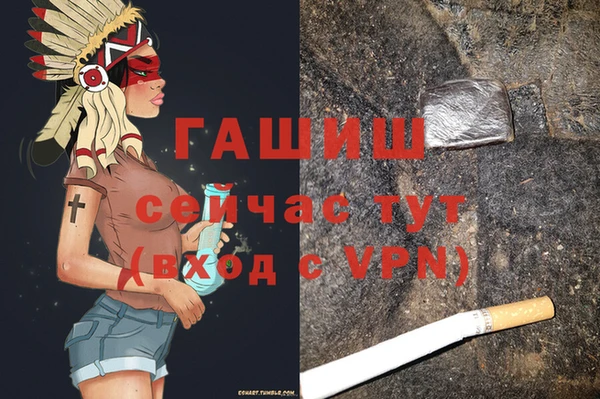 стаф Вязьма