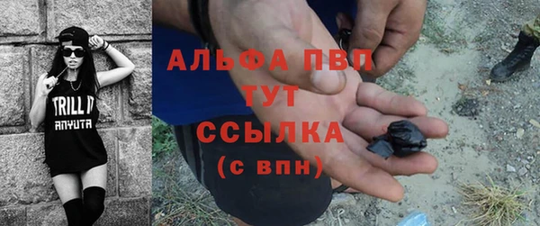 стаф Вязьма