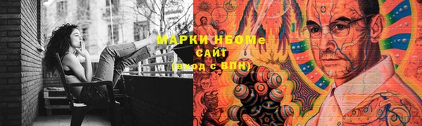 ГАЛЛЮЦИНОГЕННЫЕ ГРИБЫ Вяземский