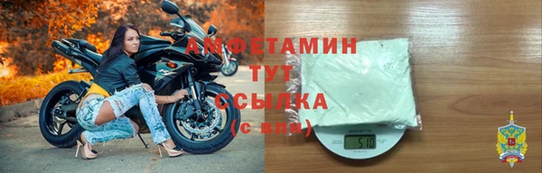 стаф Вязьма